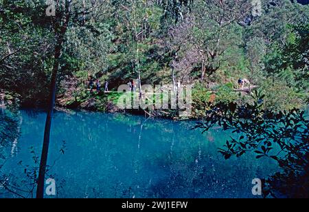 Australia. Nuovo Galles del Sud. Parco nazionale delle Blue Mountains. Lago presso le grotte Jenolan. Foto Stock