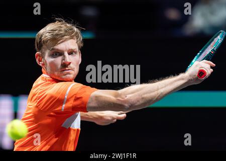 Rotterdam, Paesi Bassi. 12 febbraio 2024. ROTTERDAM, PAESI BASSI - 12 FEBBRAIO: Il belga David Goffin durante il giorno 1 dell'ABN AMRO Open 2024 ad Ahoy il 12 febbraio 2024 a Rotterdam, Paesi Bassi. (Foto di Joris Verwijst/Agenzia BSR) credito: Agenzia BSR/Alamy Live News Foto Stock