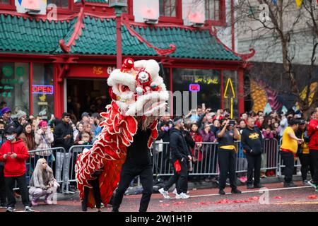 11 febbraio 2024, Chinatown, Washington DC, USA. Migliaia di rivelatori si riuniscono a Chinatown per celebrare il nuovo anno lunare. L'anno del drago. (Foto credito: Robyn Stevens Brody/Sipa USA) credito: SIPA USA/Alamy Live News Foto Stock