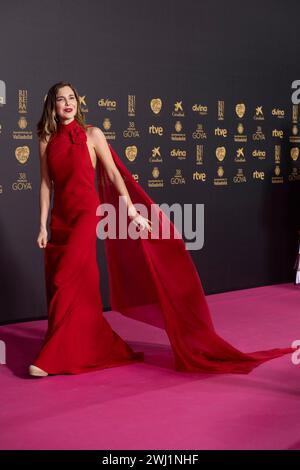 Natalia Sánchez ha partecipato a "The Red carpet at the Goya Awards 2024" Photocall alla Feria de Valladolid. (Foto di Nacho Lopez / SOPA Images/Sipa USA) Foto Stock