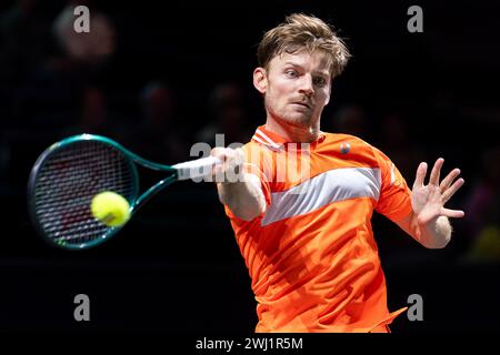 Rotterdam, Paesi Bassi. 12 febbraio 2024. ROTTERDAM, PAESI BASSI - 12 FEBBRAIO: Il belga David Goffin durante il giorno 1 dell'ABN AMRO Open 2024 ad Ahoy il 12 febbraio 2024 a Rotterdam, Paesi Bassi. (Foto di Joris Verwijst/Agenzia BSR) credito: Agenzia BSR/Alamy Live News Foto Stock