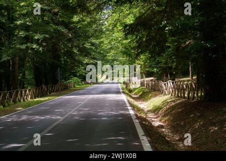 La strada per pescolanciano, provincia di Isernia, in Molise, Italia, in estate Foto Stock