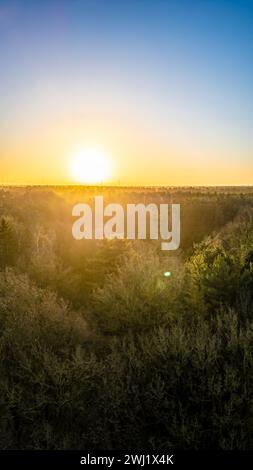 Questa immagine cattura una vista mozzafiato del sole che sorge sopra una fitta tettoia della foresta. La luce del mattino presto filtra attraverso la miriade di alberi, proiettando un bagliore dorato sul fogliame. Il cielo passa da un giallo caldo vicino al sole a un blu fresco ai bordi, suggerendo la freschezza di un'alba presto. Questa tranquilla scena enfatizza la bellezza incontaminata del mondo naturale e la quiete maestosità della foresta all'alba. Alba sulla fitta tettoia della foresta. Foto di alta qualità Foto Stock