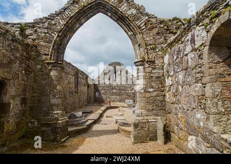 Il Monastero di St Declan i cui monumenti più importanti sono la torre rotonda alta 30 metri e la cattedrale senza tetto Foto Stock