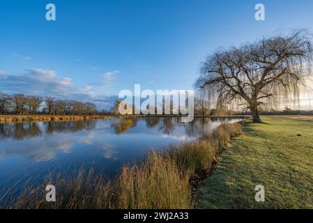 Riflesso del cielo mattutino sulla gamba del laghetto di Mutton a Bushy Park nel Surrey Regno Unito Foto Stock