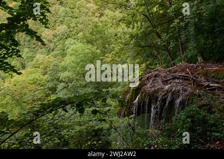 La cascata Burgbach nella foresta di conifere cade su rocce granitiche nella valle vicino a Bad Rippoldsau-Schapbach, paesaggio immerso nella natura Foto Stock