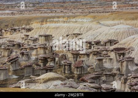 Il bizzarro paesaggio delle Bisti Badlands o De-Na-Zin Wilderness nella contea di San Juan, New Mexico, Stati Uniti Foto Stock