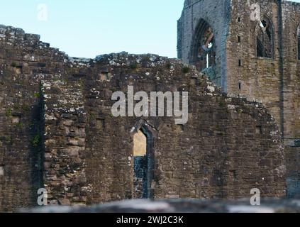 L'abbazia di Tintern, fondata nel 1131, si trova accanto al villaggio di Tintern, Monmouthshire, Galles del Sud, ed è in fase di ristrutturazione per renderla stabile. Foto Stock