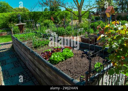 Giardino residenziale, orto privato. Design paesaggistico nel giardino della casa, splendido paesaggio Foto Stock