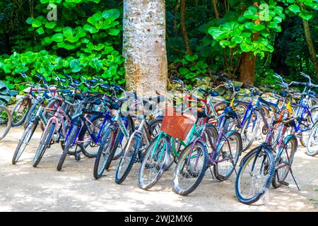 Coba Quintana Roo Messico 01. Ottobre 2023 noleggia una bicicletta triciclo e attraversa la giungla Coba Ruins Adventure nel comune di Coba Tulum qui Foto Stock