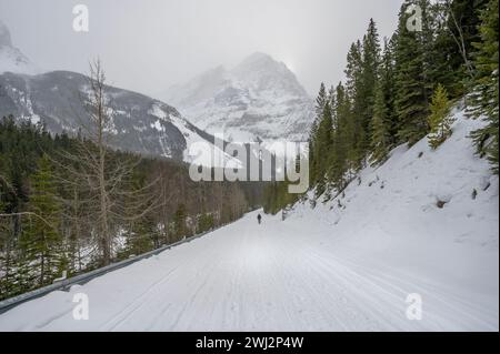 Un escursionista solitario cammina sulla Yoho Valley Road nel Parco Nazionale di Yoho, British Columbia, Canada Foto Stock