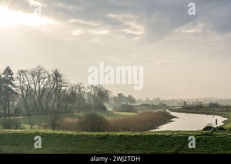 Ammira la riserva naturale di Bossche Broek con il sole che si rompe tra le nuvole e splende tra gli alberi con un corridore sullo sfondo. Foto Stock