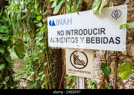 Merida, Messico, sito archeologico di Dzibilchaltun, Parco Nazionale, rovine della città della civiltà Maya, zona Arqueologica de Dzibilchaltun, cartello d'ingresso avvisato Foto Stock