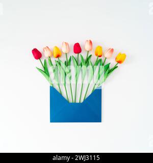 Composizione primaverile realizzata con fiori di tulipani colorati che escono dalla busta blu su sfondo bianco. Concetto minimale. Un'idea creativa di fiori primaverili. Foto Stock