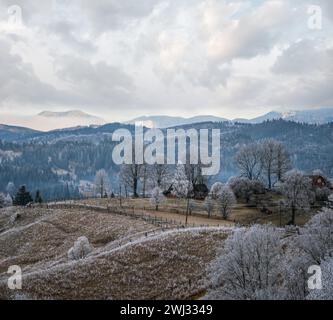 Inverno in arrivo. Pittoresca nebbia e scena moody mattina in fine autunno montagna campagna con hoarfrost su erbe, alberi, s Foto Stock