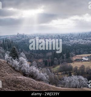 Inverno in arrivo. Nuvoloso e nebbia mattina molto tardo autunno montagne scena. Tranquillo viaggio pittoresco, stagionale, natura e c Foto Stock