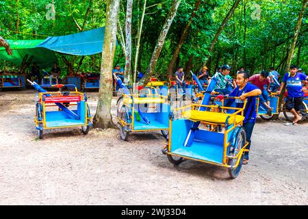 Coba Quintana Roo Messico 01. Ottobre 2023 noleggia una bicicletta triciclo e attraversa la giungla Coba Ruins Adventure nel comune di Coba Tulum qui Foto Stock