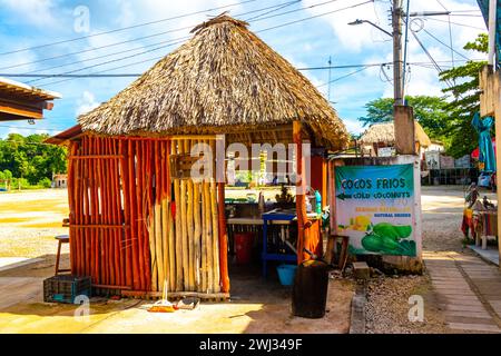 Coba Quintana Roo Messico 01. Ottobre 2023 Parcheggio negozi negozi ristoranti biglietteria e ingresso alle rovine di Coba nel comune di Coba Tulum Quinta Foto Stock