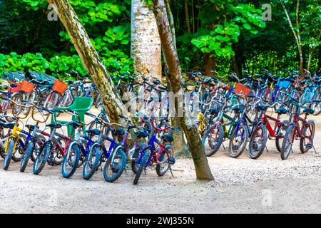 Coba Quintana Roo Messico 01. Ottobre 2023 noleggia una bicicletta triciclo e attraversa la giungla Coba Ruins Adventure nel comune di Coba Tulum qui Foto Stock