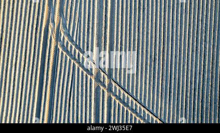 Modelli geometrici in agricoltura, vista aerea dall'alto verso il basso. Foto Stock