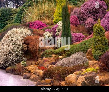 Incredibile e colorato giardino di roccia di erica con conifere e erbe nei Compton Acres Gardens negli anni '1990, Dorset, Inghilterra, Regno Unito Foto Stock