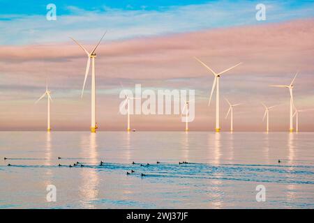 Mulini a vento per la produzione di energia elettrica Netherlands Flevoland, impianti di turbine eoliche in mare, impianti di produzione di energia verde Foto Stock