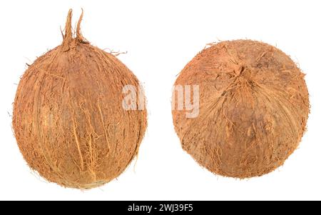 Noce di cocco da angolazioni diverse isolate su sfondo bianco. Foto Stock