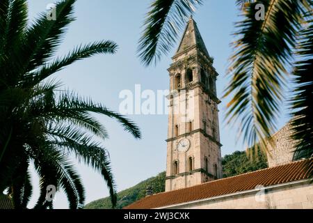 Ammira attraverso i rami di palma l'alto campanile della chiesa di San Nicola. Perast, Montenegro Foto Stock