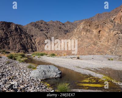 Il Moho a Wadi al Abyad, Oman Foto Stock