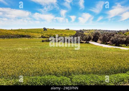 Giornata di sole per un'escursione di successo Foto Stock