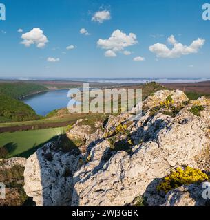 Ucraina senza aggressione russa. Splendida vista sulle sorgenti del Dnister River Canyon con rocce pittoresche, campi e fiori. THI Foto Stock
