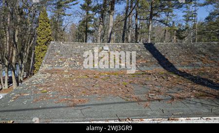 Tetto che necessita di riparazione con tegole danneggiate ricoperte da detriti di alberi, aghi, muschio Foto Stock