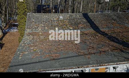 Tetto che necessita di riparazione con tegole danneggiate ricoperte da detriti di alberi, aghi, muschio Foto Stock