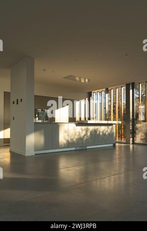 Vista interna di una cucina in una nuovissima casa di lusso dalle tonalità grigio e bianco. Verticale. Foto Stock