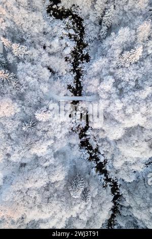 Vista aerea dei boschi vicino al Santuario di Oropa in inverno all'alba. Biella, provincia di biella, Piemonte, Italia, Europa. Foto Stock