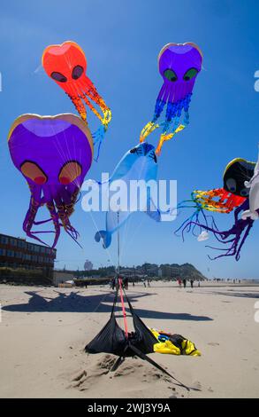 Il polpo aquiloni, Lincoln City Summer Festival di Kite, Dee River State Park, Oregon Foto Stock