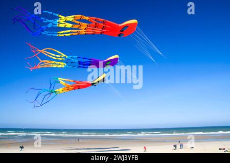 Il polpo aquiloni, Lincoln City Summer Festival di Kite, Dee River State Park, Oregon Foto Stock