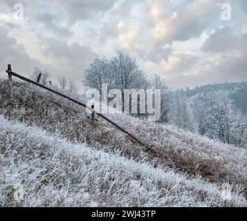 Inverno in arrivo. Pittoresca nebbia e moody pre alba scena nella fine autunno montagna campagna con hoarfrost su erbe, albero Foto Stock