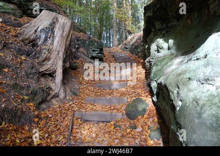 Rocce vicino a Consdorf nel Muellerthal, Lussemburgo Foto Stock