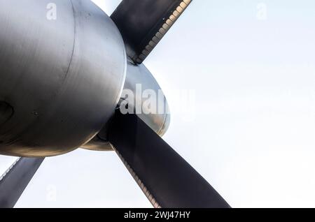 Frammento di un'elica di un aeroplano d'epoca, primo piano isolato Foto Stock