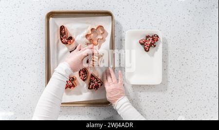 Biscotto di Natale-cutter menta piperita fudge Foto Stock