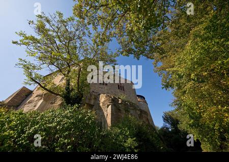 Ammira il castello in cima alla collina, il castello di Waldeck, Waldeck, il parco naturale di Kellerwald-Edersee, Germania Foto Stock