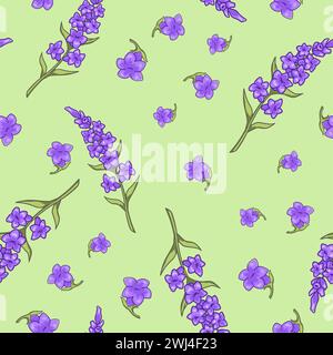 Pianta aromatica della Provenza, stampa o motivo alla lavanda Illustrazione Vettoriale