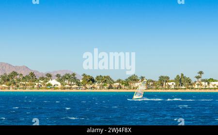 Windsurfer cavalca sullo sfondo della spiaggia con palme e montagne rocciose in Egitto Dahab nel Sinai meridionale Foto Stock