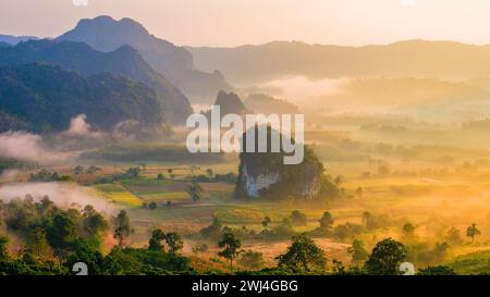 Alba con nebbia e nebbia sulle montagne di Phu Langka nel nord della Thailandia, vista montagna di Phu Lanka Foto Stock