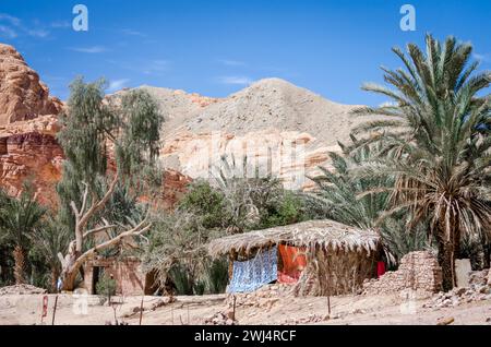 Villaggio beduino in un'oasi nel deserto tra le montagne in Egitto Dahab Sinai Sud Foto Stock