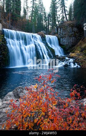 Mountain Shasta e cascate in autunno Foto Stock