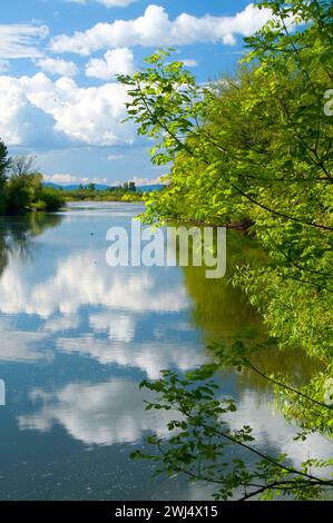 Lake Creek slough, Snag Bend Unit-William Finley National Wildlife Refuge, Oregon Foto Stock