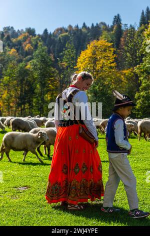 SZCZAWNICA, POLONIA - 14 OTTOBRE 2023: I Pastori dei Carpazi tradizionali che portano i pastore dal pascolo in montagna ai villaggi per Foto Stock