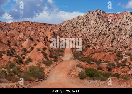 La Ruta Nacional 40 è la strada nazionale più lunga dell'Argentina e un percorso di viaggio popolare con paesaggi spettacolari Foto Stock